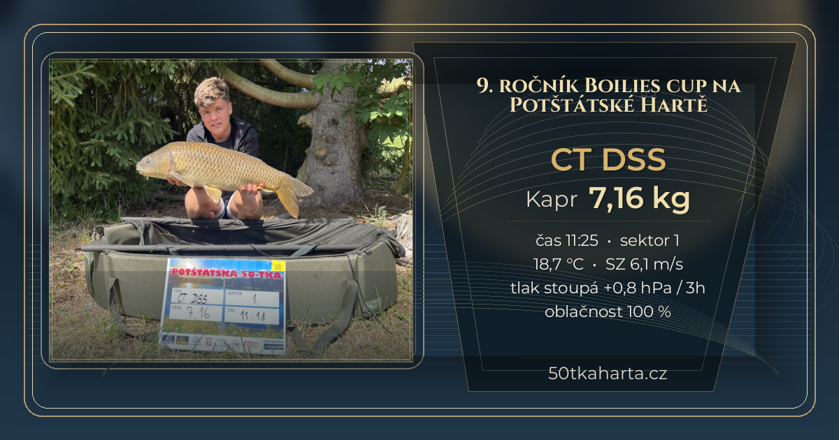 share card CT DSS