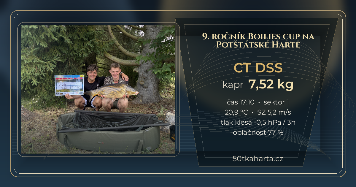 share card CT DSS