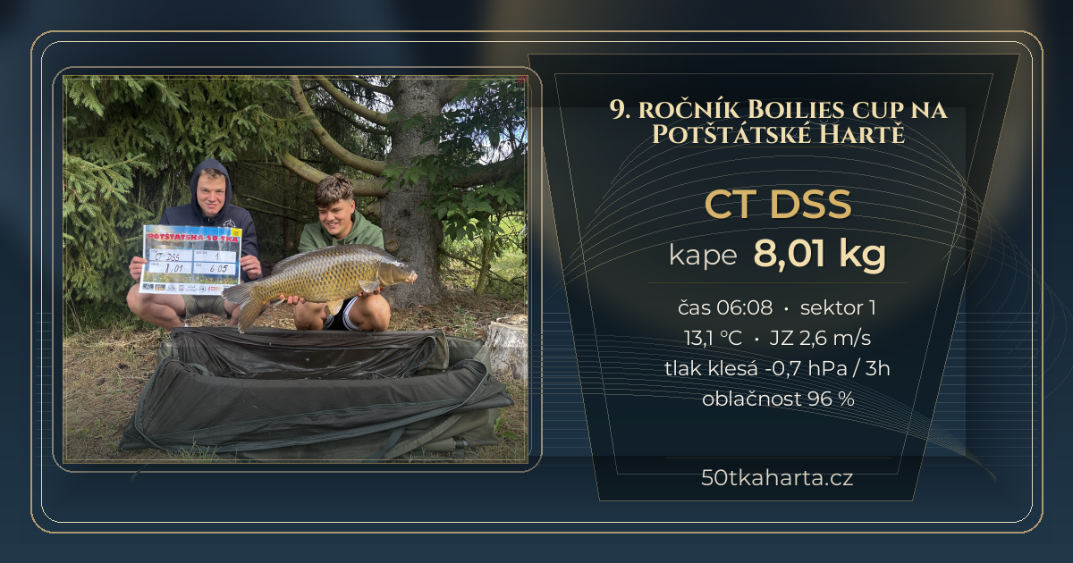 share card CT DSS