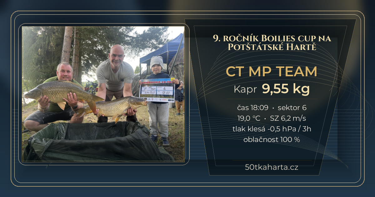 share card CT MP team