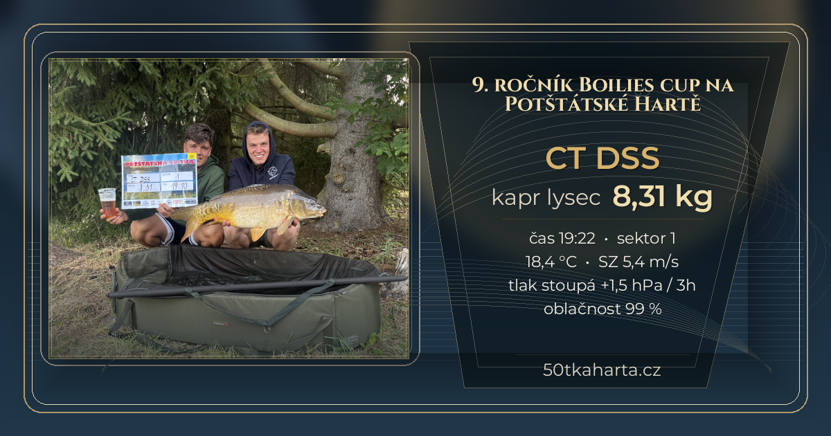 share card CT DSS
